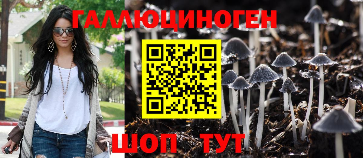 Галлюциногенные грибы ЛСД  Вход с VPN  Псилоцибиновые грибы ЛСД  Гатчина 