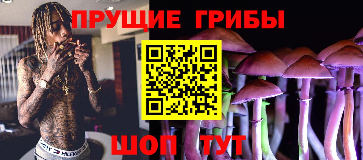Галлюциногенные грибы GOLDEN TEACHER Гатчина